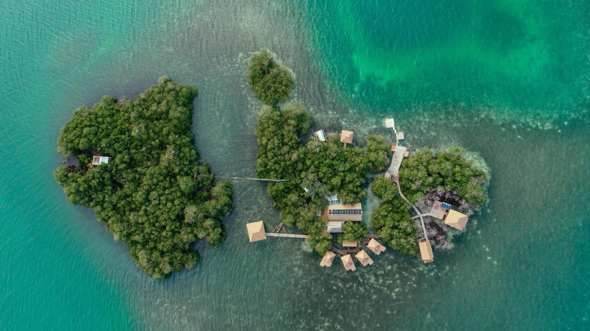 Urraca Monkey Island Eco Resort (Adults Only) Punta Laurel Exterior foto