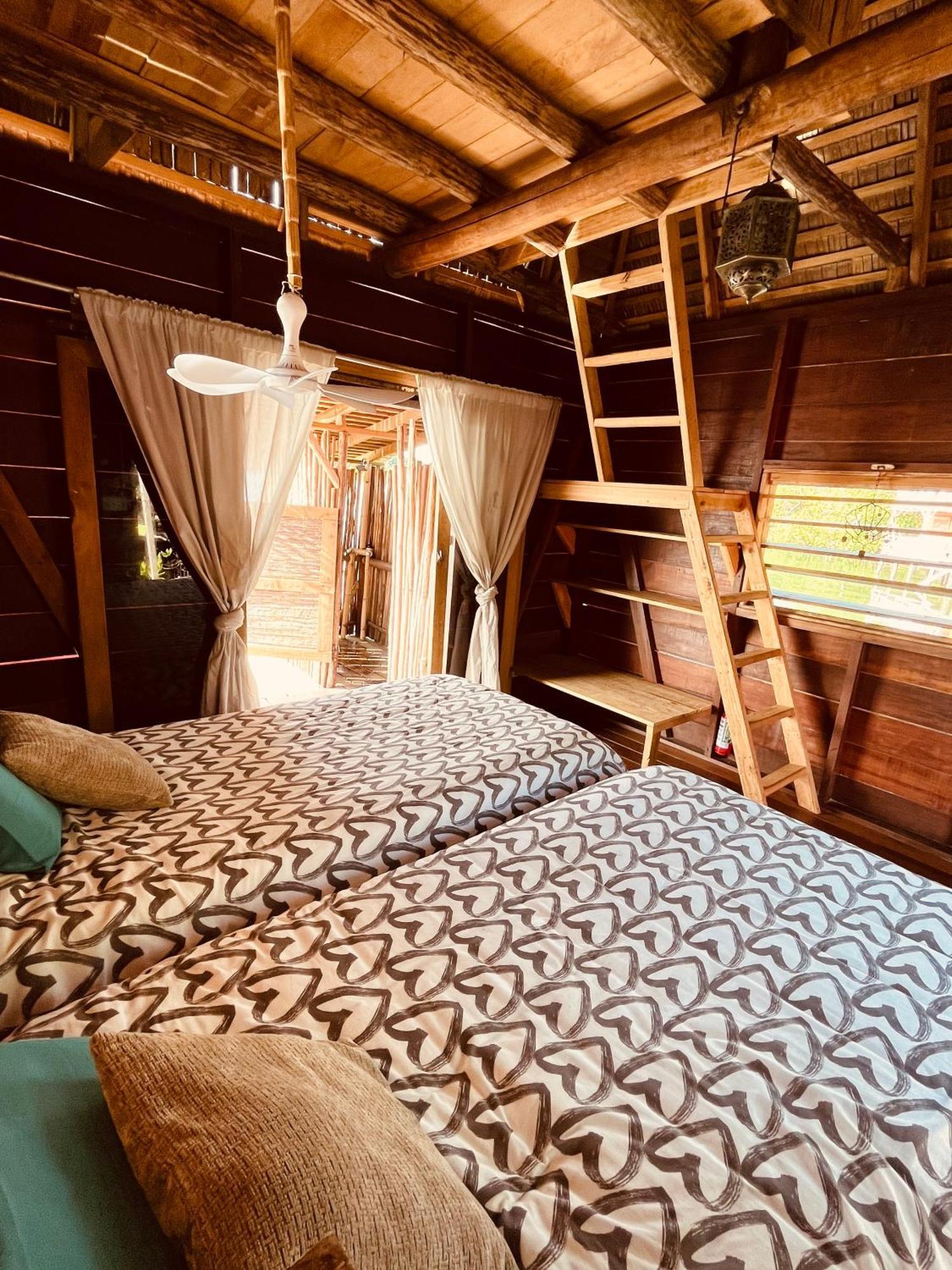 Urraca Monkey Island Eco Resort (Adults Only) Punta Laurel Quarto foto