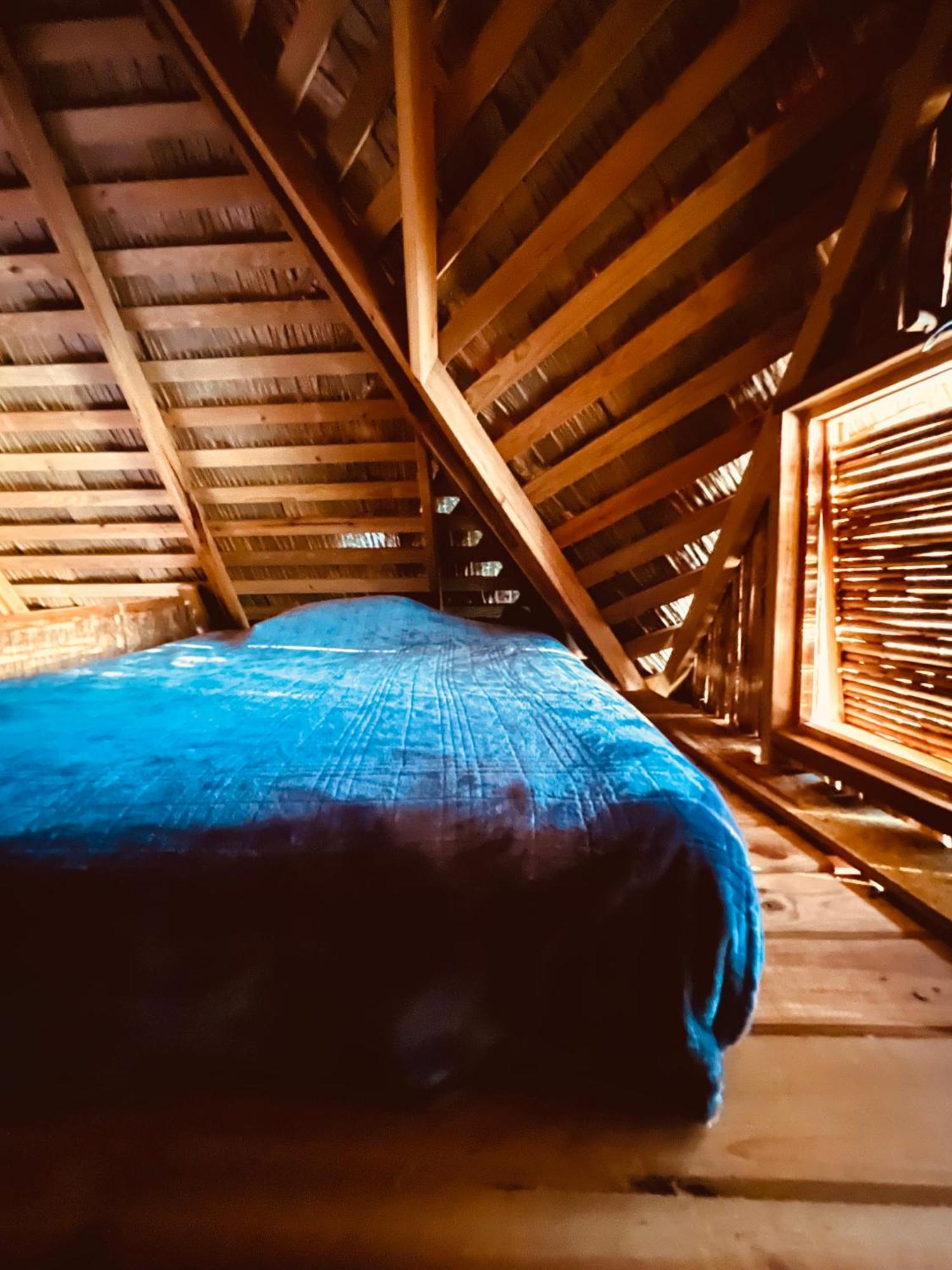 Urraca Monkey Island Eco Resort (Adults Only) Punta Laurel Quarto foto