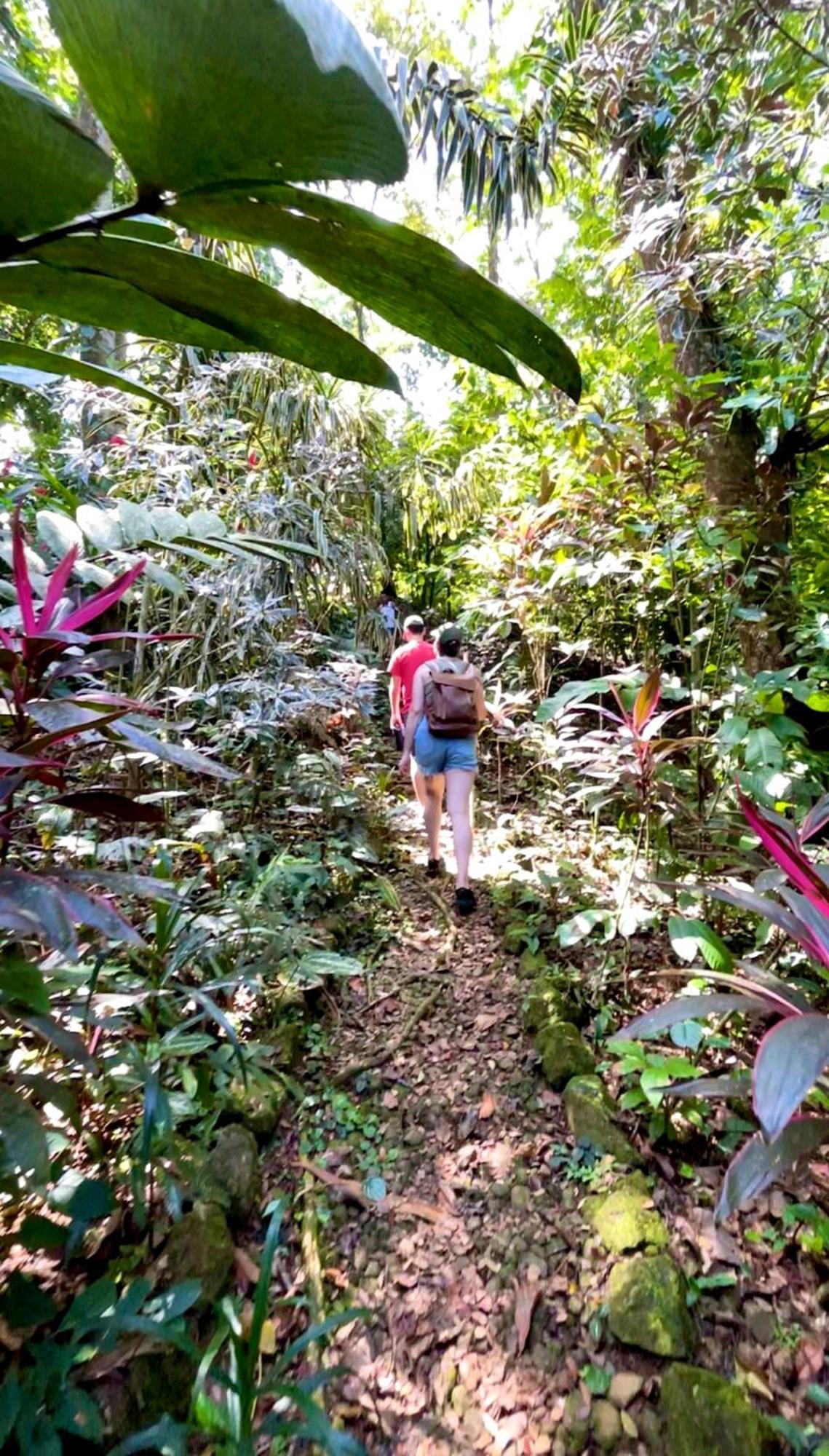Urraca Monkey Island Eco Resort (Adults Only) Punta Laurel Exterior foto